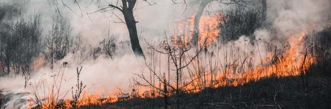 La chispa del cambio: la importancia de la prevención de incendios